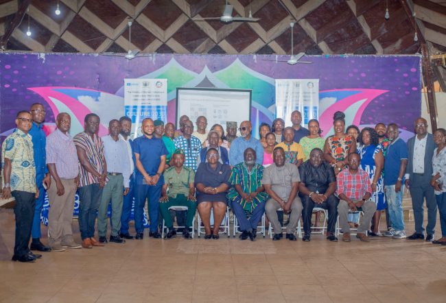 UNESCO Culture2030 Indicators Project Implementation